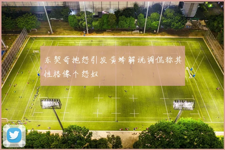东契奇抱怨引发黄蜂解说调侃称其性格像个怨妇