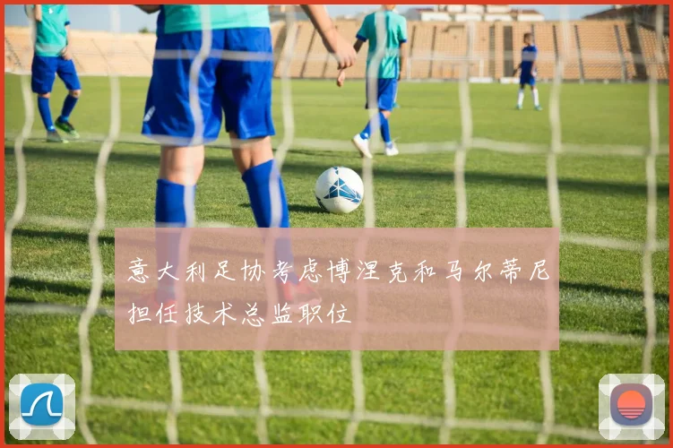 意大利足协考虑博涅克和马尔蒂尼担任技术总监职位
